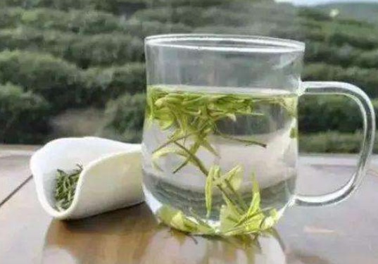 龙井茶是什么茶