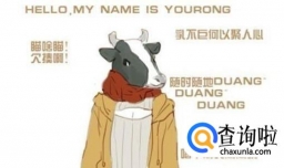 恋爱中的你属于哪种动物系女友