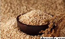 糙米减肥合理吗