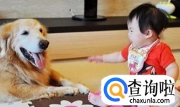 怎样培养孩子的爱心奉献意识？