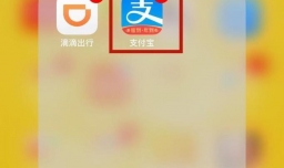 支付宝刷脸登录怎么用