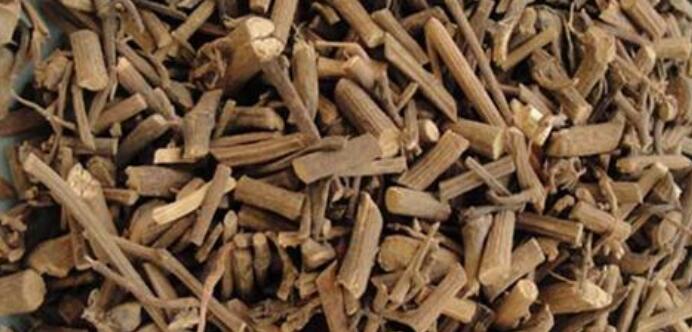 海风藤的功效与作用