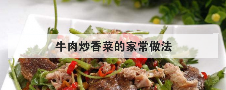 牛肉炒香菜的家常做法