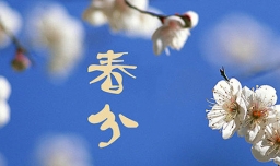 春分节气的特点是什么？