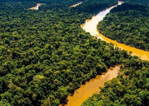 世界上最大的平原在哪个洲