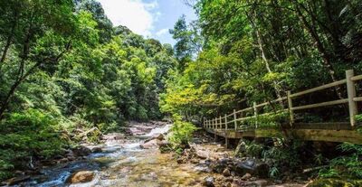 欲知山中事下一句是什么