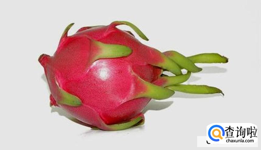 怎样挑选好的火龙果