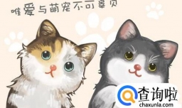 养小猫的注意细节