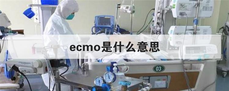 ecmo是什么意思