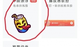 手机QQ如何装饰华丽漂浮？