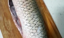 手把手教你怎么片酸菜鱼水煮鱼鱼片,水煮鱼鱼片的切法