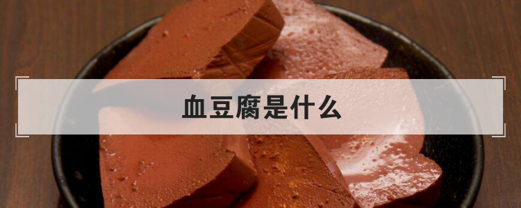 血豆腐是什么