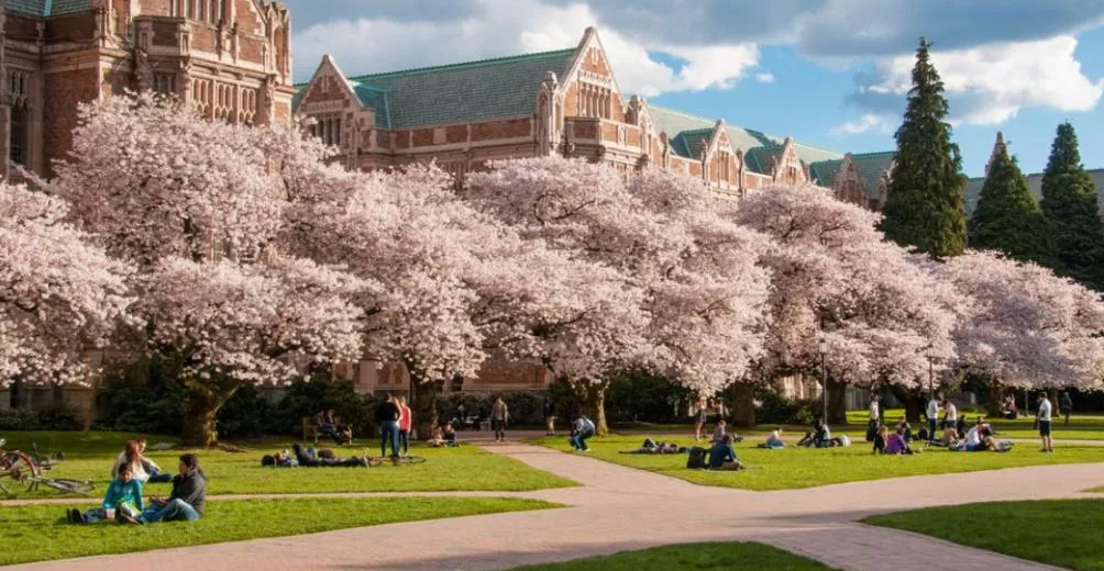 本科是什么意思