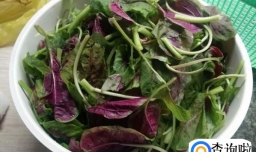 素炒汗菜的家常做法,如何做素炒汉菜？