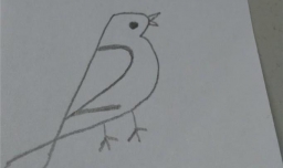 用数字画小鸟简笔画