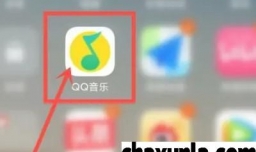 QQ音乐怎么查看音乐年龄