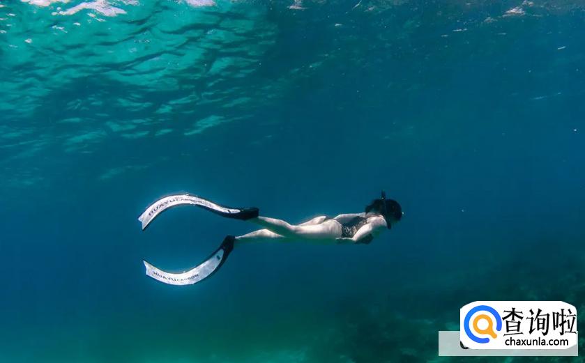 潜水运动的介绍