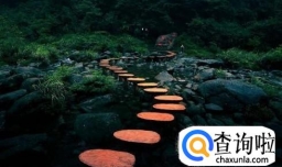 荒野生存类节目都有哪些