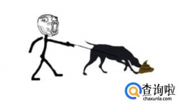 狗狗为什么食便？狗狗吃屎解决方法