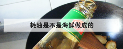 耗油是不是海鲜做成的