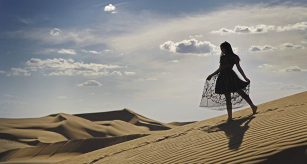 风声鹤唳是什么意思