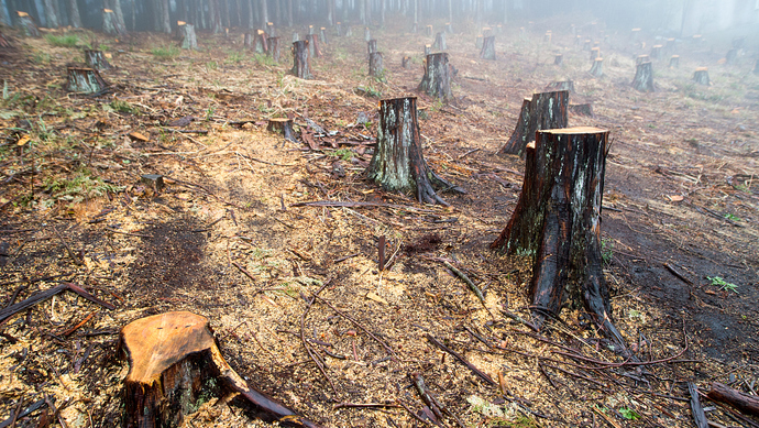 地球上的资源可以分为什么和什么
