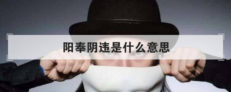 阳奉阴违是什么意思