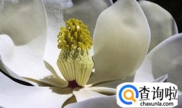 棕色配什么颜色