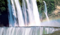 黄果树瀑布在贵州哪个省？哪个市？