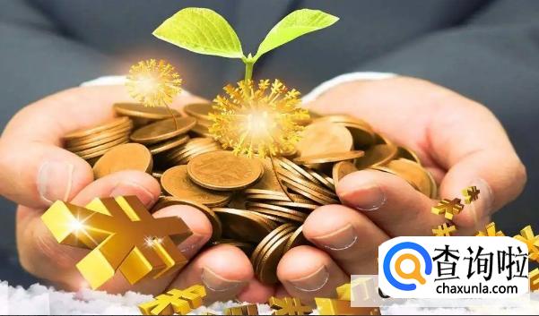 如何理财适合新手