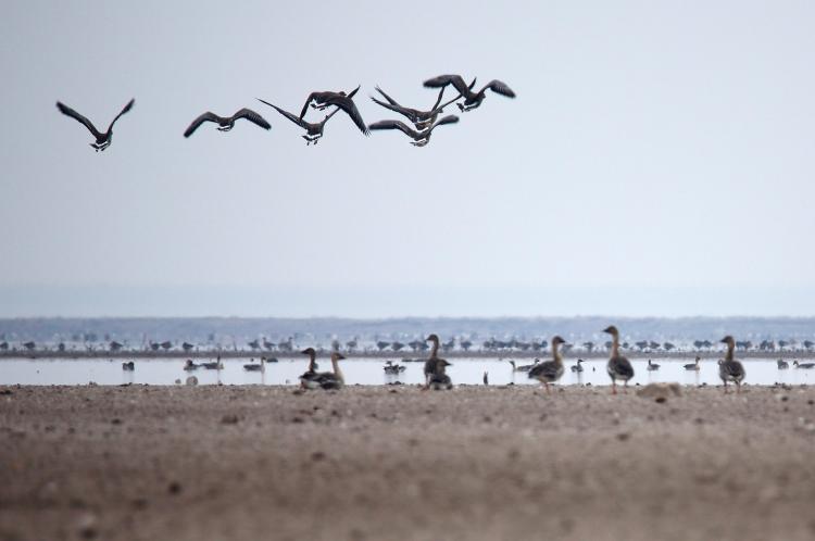 湖南湖北的湖是指什么湖