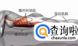 如何训练核心力量