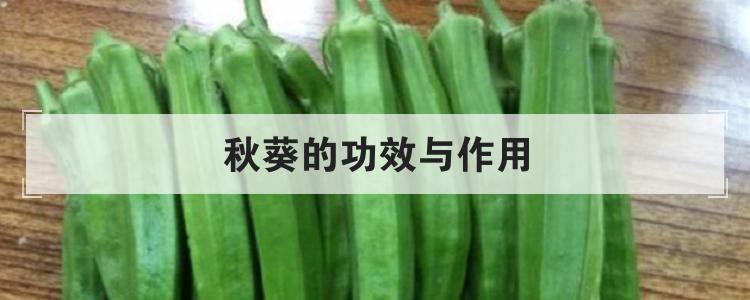 秋葵的功效与作用br