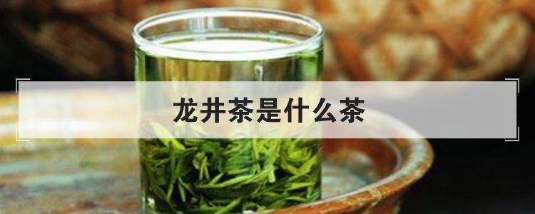 龙井茶是什么茶