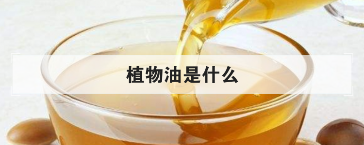 植物油是什么