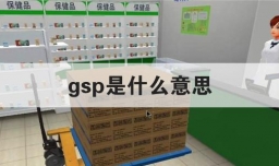 gsp是什么意思