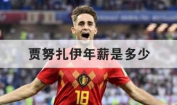 贾努扎伊年薪是多少