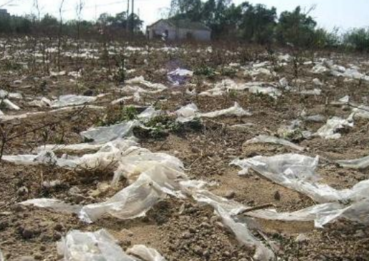 白色污染的危害