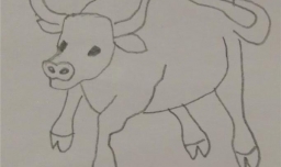 如何画一头简单可爱的小公牛