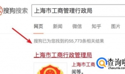网上如何查询上海企业工商注册信息