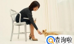 刚满月的小狗怎么喂养