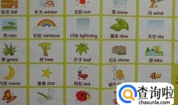 怎么样快速学会英语？