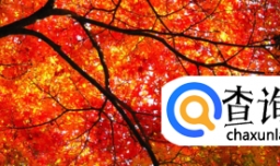 形容秋天美好的诗句？