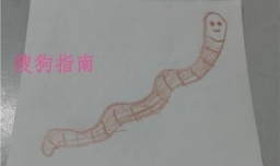 教你画小蚯蚓的简笔画