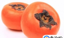 什么人不能吃柿子？