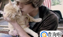 喵星人对你表示好感的5种信号