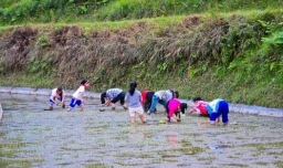 践行是什么意思
