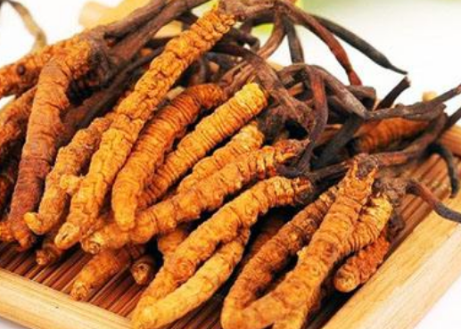 冬虫夏草是如何形成的