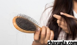 为什么熬夜会秃头