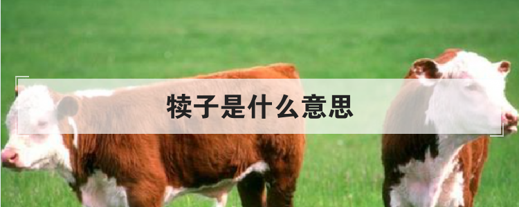 犊子是什么意思